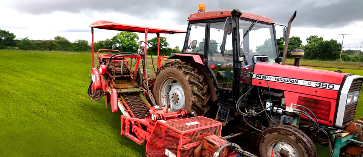 Hallmarket 2010 Detachable 16" Turf Harvester